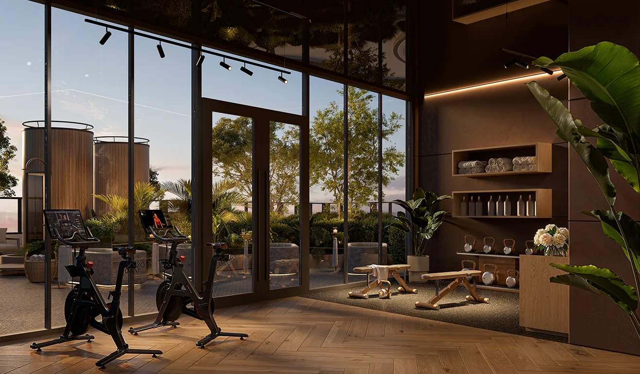 The Rider - Miami The Rider - Miami