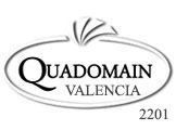 Quadomain Valencia logo