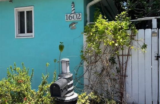 image8