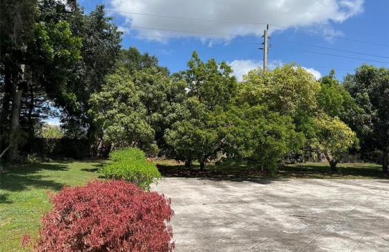 image25