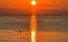 image10