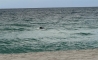 image33