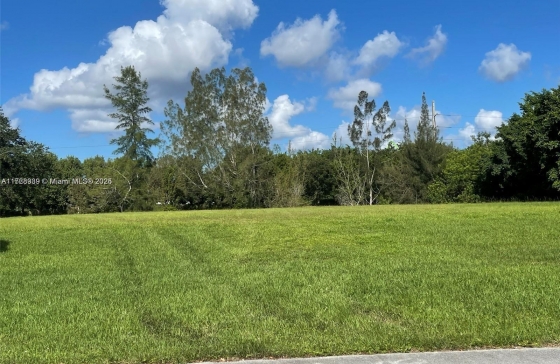 image10