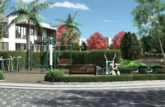 image6