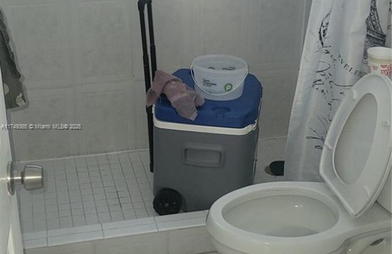 image12