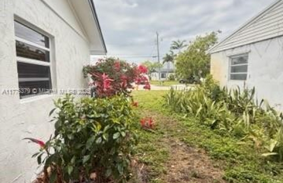 image14