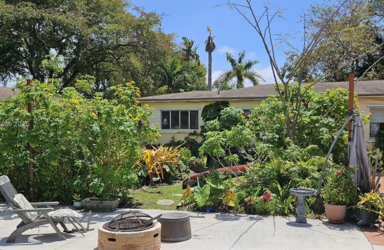 image11