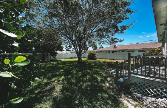 image11