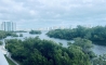 image6