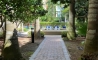 image11