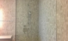 image11