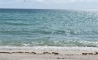 image53