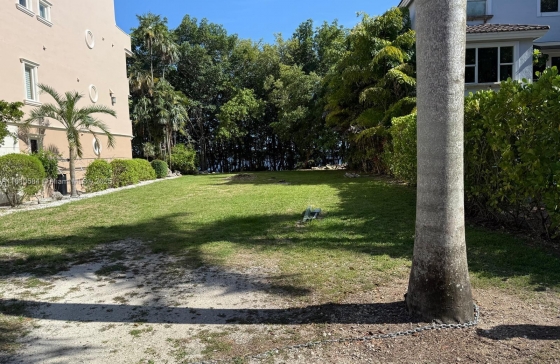 image4