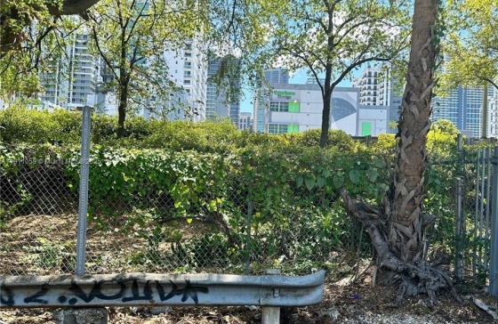 image10