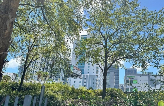 image11