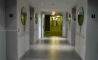 image11