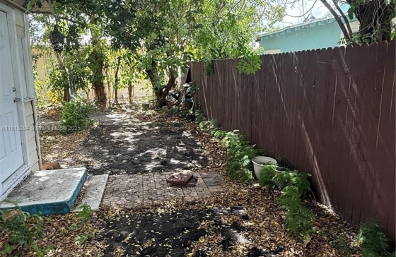 image11