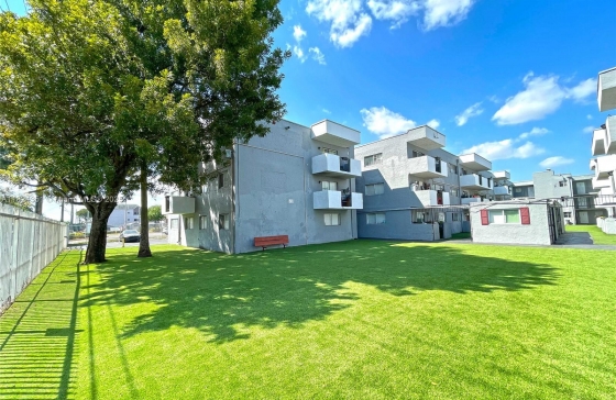 image6