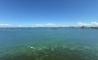 image11