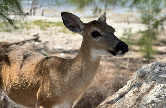 1557  Long Beach Dr #