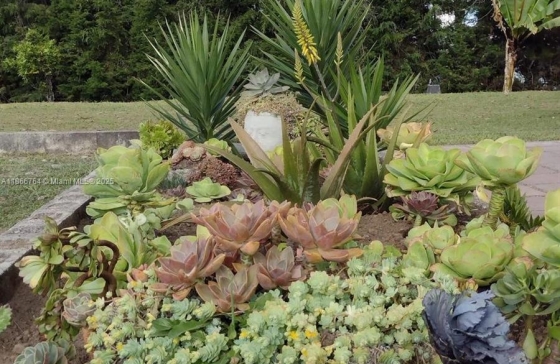 Lote   La Ceja Vereda Uchuval #