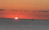 image30