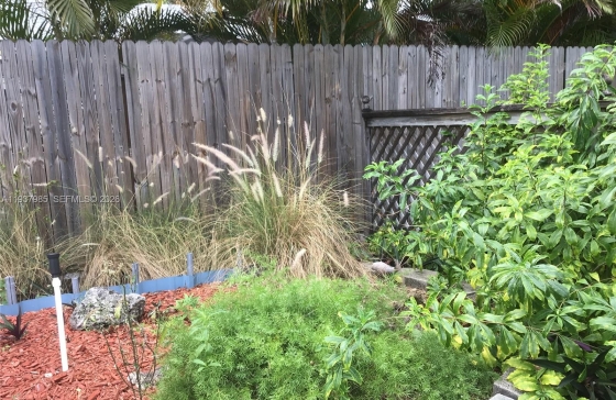 image10