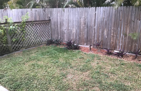image11