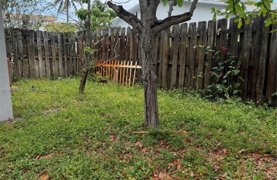 image10