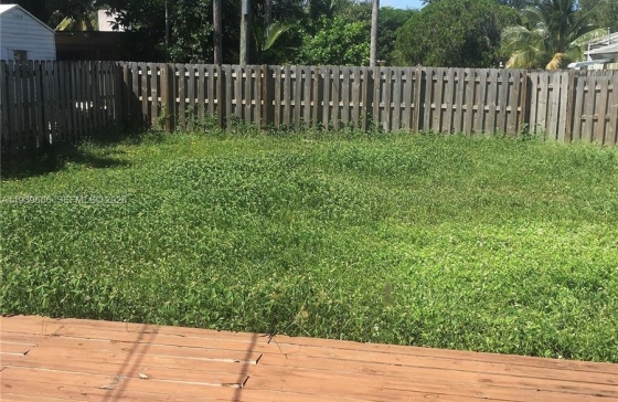 image11