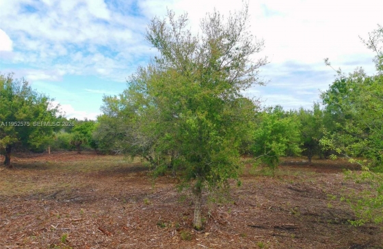 103  Hunting Club Ave #