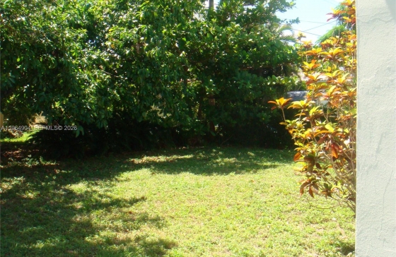 image19