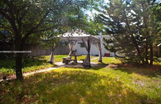 image19
