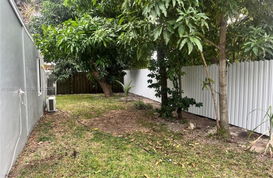 image11