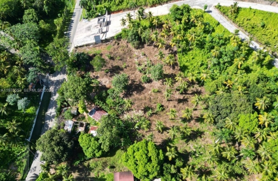 000  7cwm+v4g Las Terrenas, Dominican Republic #