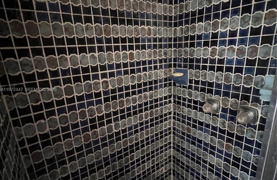 image11
