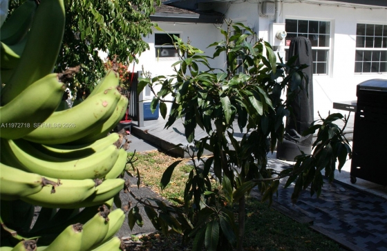 image42
