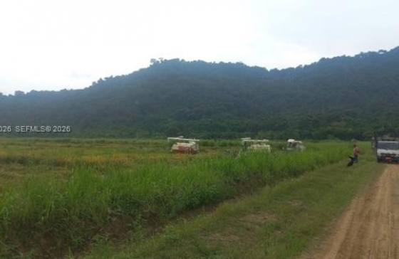 Km 40  Via Naranjal-guayas #