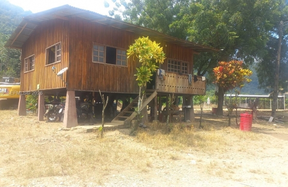 image13