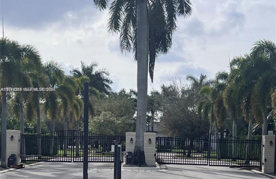 image12