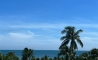 image11