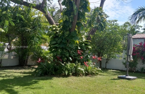 image8