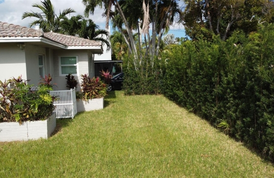 image6