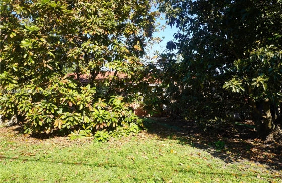 image33
