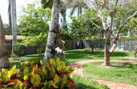 image12