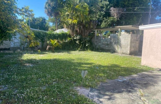 image38