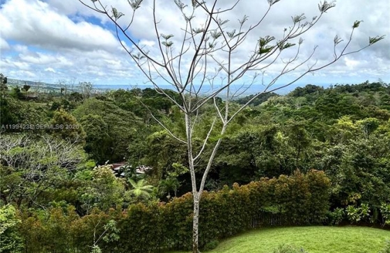 image10