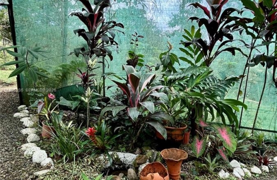 image11