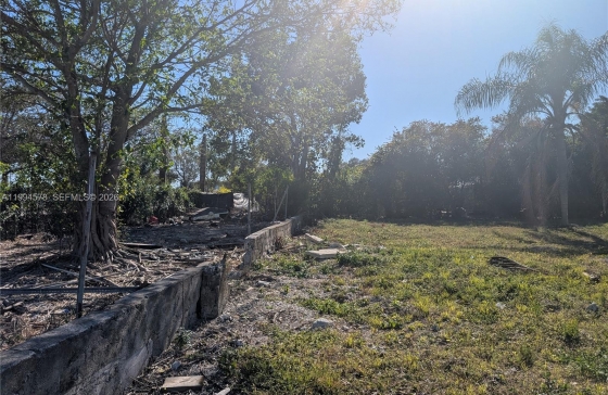 image4