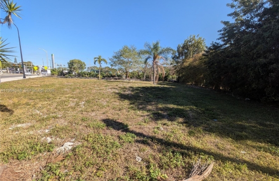 image7